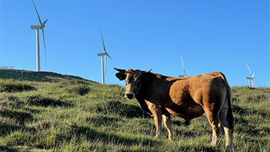 Biodiversity, a key pillar of our environmental action
