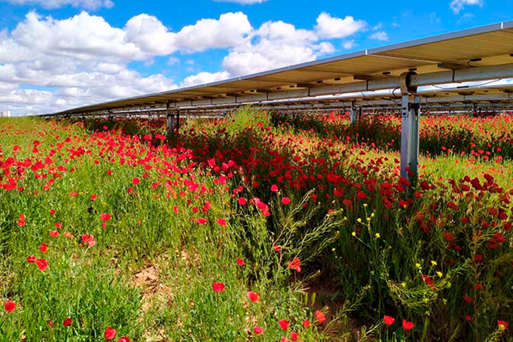 El préstamo se destinará a la construcción de plantas fotovoltaicas de 188 MW en diversas localizaciones, la mayoría de ellas en zonas rurales