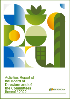 Activities Report of the Board of Directors and of the Committees thereof 2021