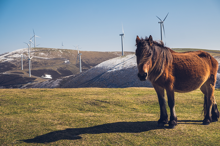 In addition to the Global 100 index, Iberdrola is present in other major international sustainability indices, including the Dow Jones Sustainability Index, MSCI, CDP, and FTSE4Good.