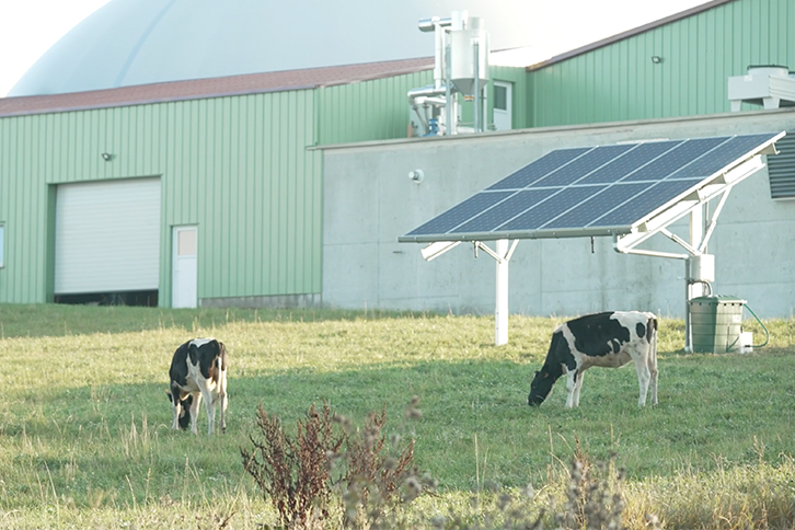 Iberdrola has been awarded four agrovoltaic projects with a total capacity of 12 megawatts (MW) in the renewable energy innovation tenders launched by the French Ministry of Energy Transition.