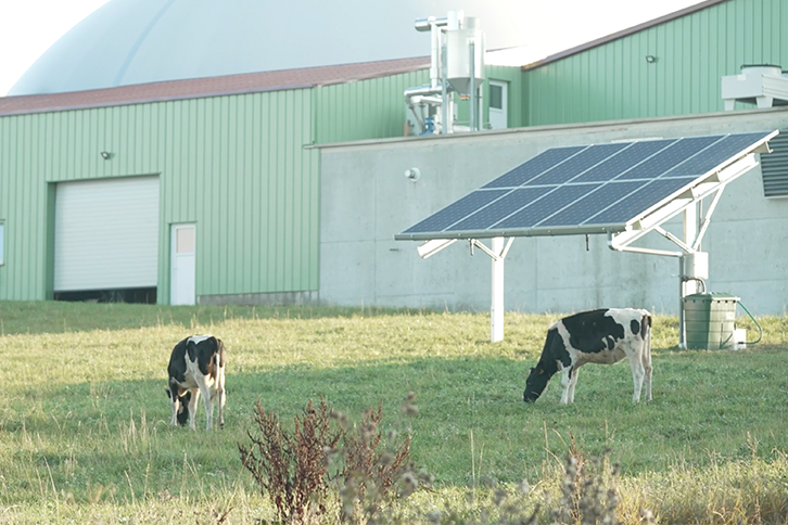 Agrovoltaica en Francia