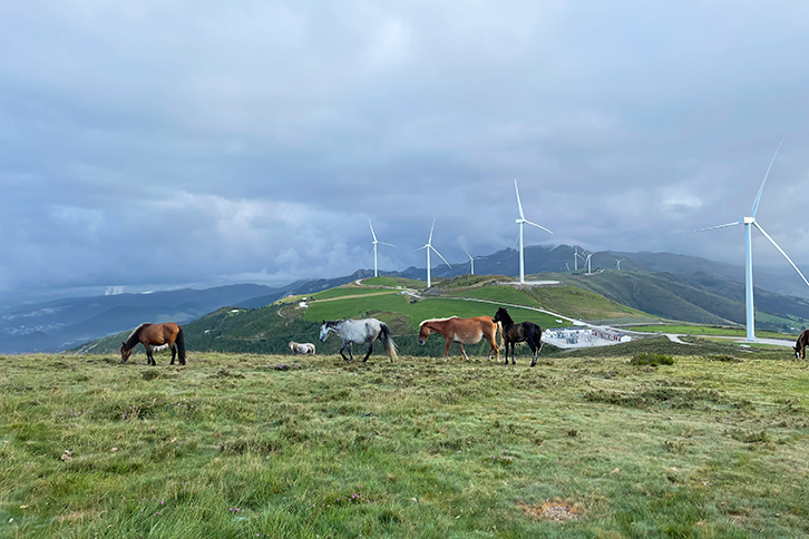 Parque eólico terrestre en Asturias