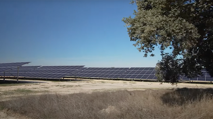 Fotovoltaica Fernando Pessoa