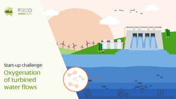  Start-up challenge: Oxygenation of turbined water flows