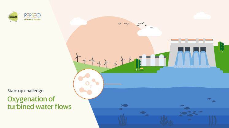 Start-up challenge: oxygenation of turbined water flows