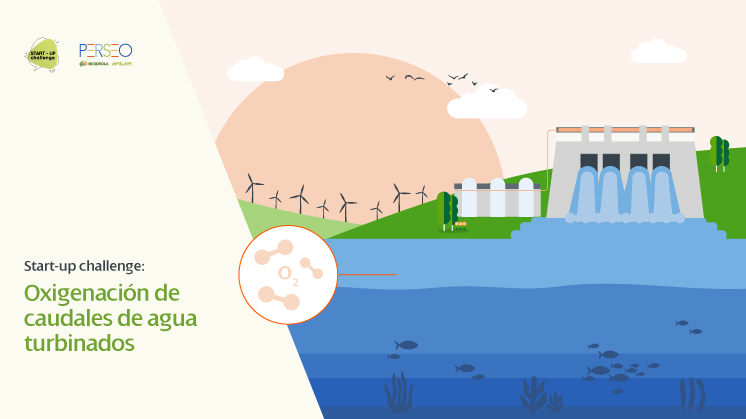 Start-up challenge: oxigenación de caudales de agua turbinados