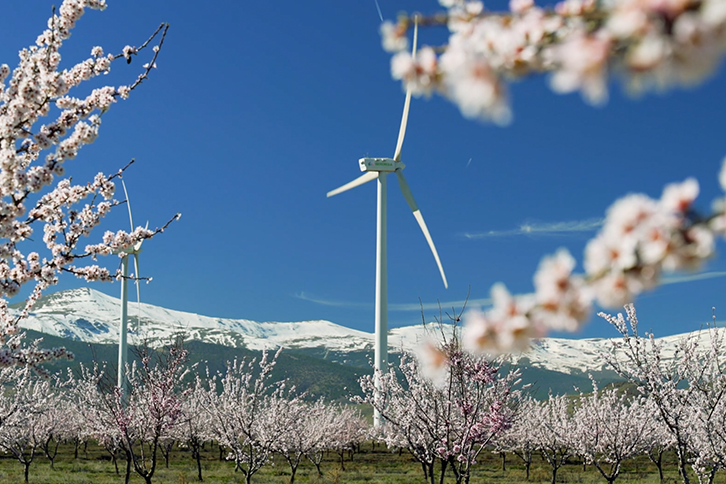 Iberdrola wind farm in spring