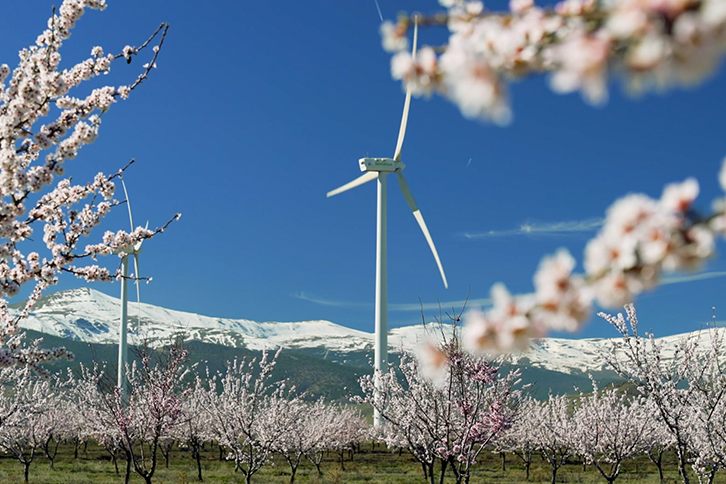 Parque eólico da Iberdrola na primavera