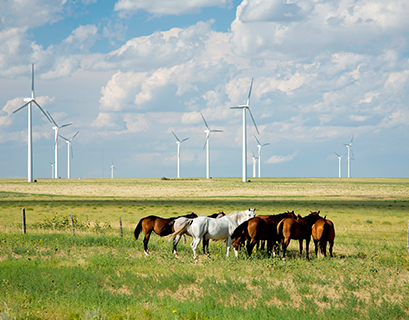 Iberdrola FT