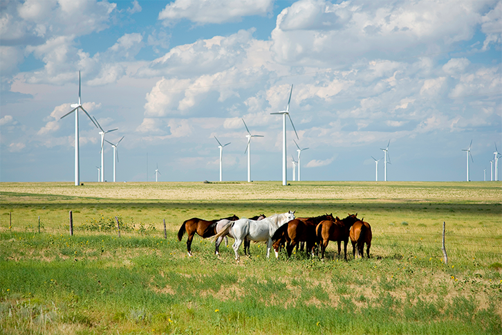 Iberdrola ha sido reconocida como la mejor empresa de EMEA en divulgación de información ESG