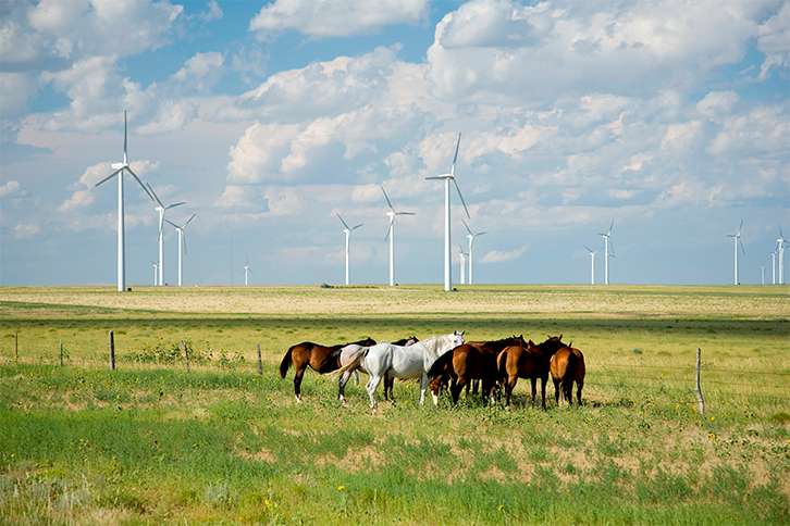 Iberdrola is the best utility in the world in ESG information disclosure, and the first company in Europe in the Print-Based Alternative Reports category of the League of American Communications Professionals (LACP) world ranking.