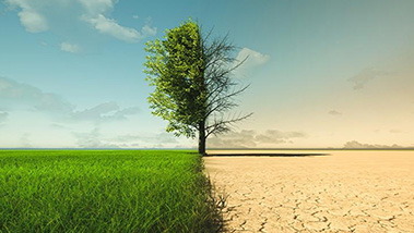 Conscientes das mudanças climáticas: Causas, ações e compromissos da Iberdrola