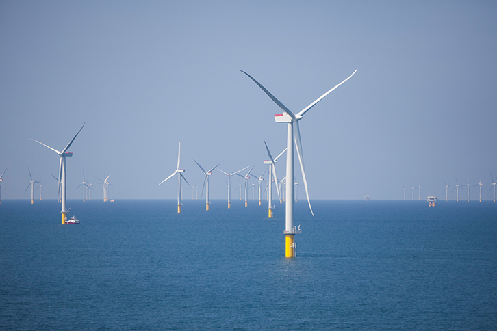Image of the West of Duddon Sands wind farm in the United Kingdom.