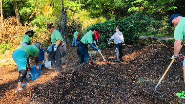 The impact of corporate volunteering