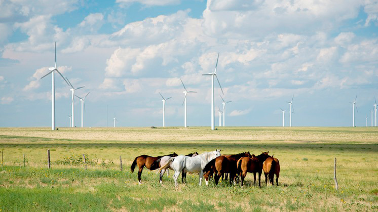 Horses next to a wind farm.