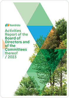 Activities Report of the Board of Directors and of the Committees thereof