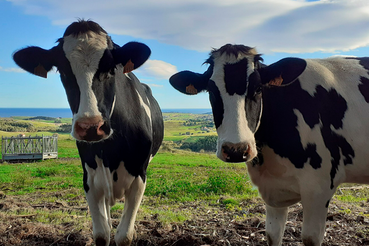 Mesta y Carbon2Nature se unen para reducir las emisiones de metano en el sector primario