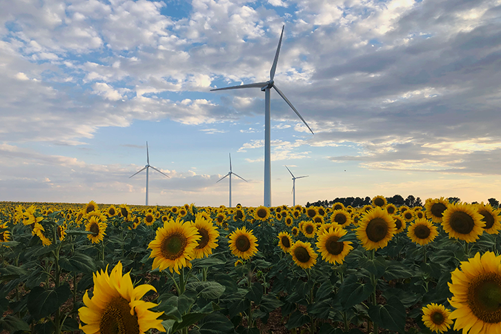 Iberdrola, together with BirdLife International, has promoted the organisation of a high-level forum on renewables and biodiversity within the COP 28 that is being held these days in Dubai.