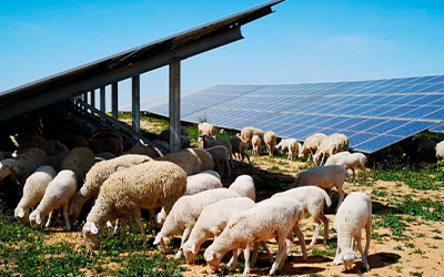 Primeira usina híbrida de energia hidrelétrica e solar da Espanha