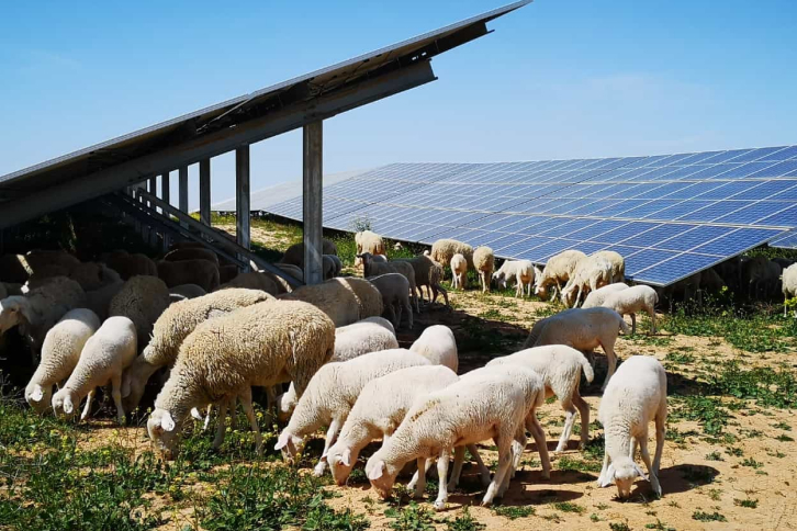 Central fotovoltaica da Iberdrola em Espanha