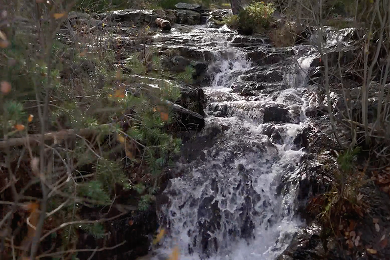 Cascada