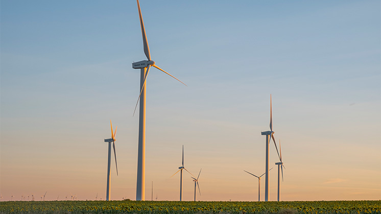 Wind Farm