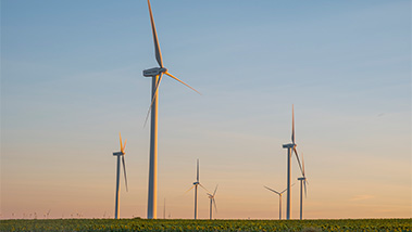Dia Mundial da Energia: compromisso e ação para a sustentabilidade