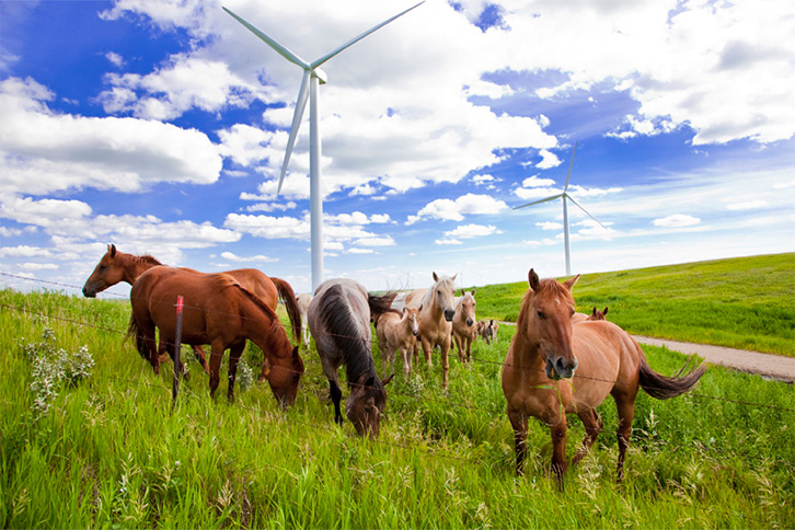 The Rugby wind farm in the state of North Dakota (USA).