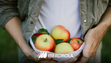 Alimentación Sostenible | Consejos y Ventajas -