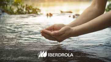 www.iberdrola.com