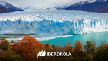 de los Glaciares: causas, consecuencias - Iberdrola