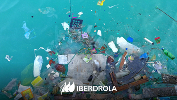 How does plastic get into the sea and how to avoid it? - Iberdrola