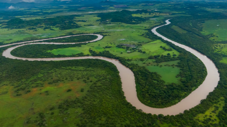 A criação de gado bovino em áreas protegidas do Amazonas foi revelada pelo jornal inglês 'The Guardian'.