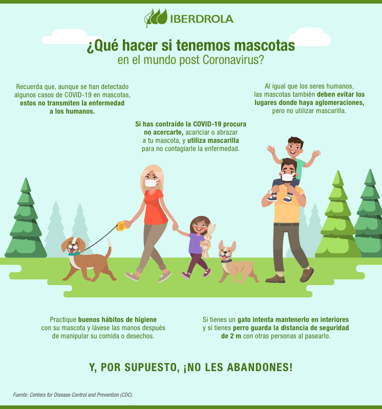 ¿Qué hacer si tenemos mascotas en el mundo post Coronavirus?