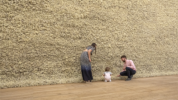 Olafur Eliasson, 'Pared de liquen' (1994) / Foto: Anders Sune Berg / Cortesía del artista; neugerriemschneider, Berlín; Tanya Bonakdar / Gallery, Nueva York / Los Ángeles / © 1994 Olafur Eliasson.