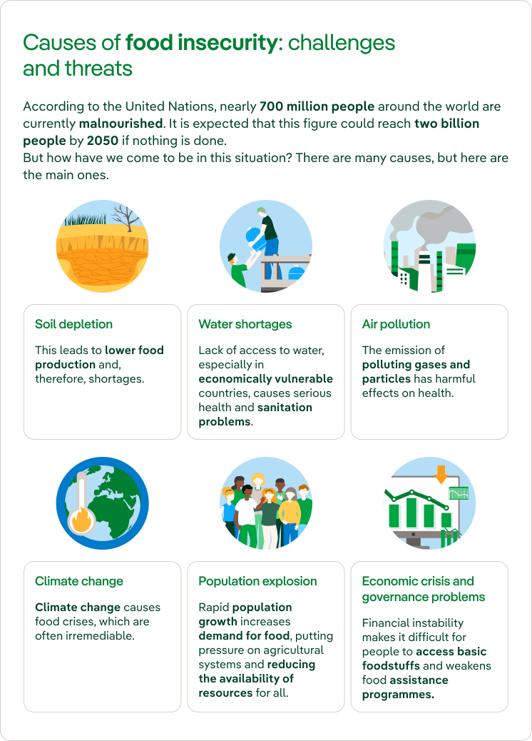 Causes of food insecurity