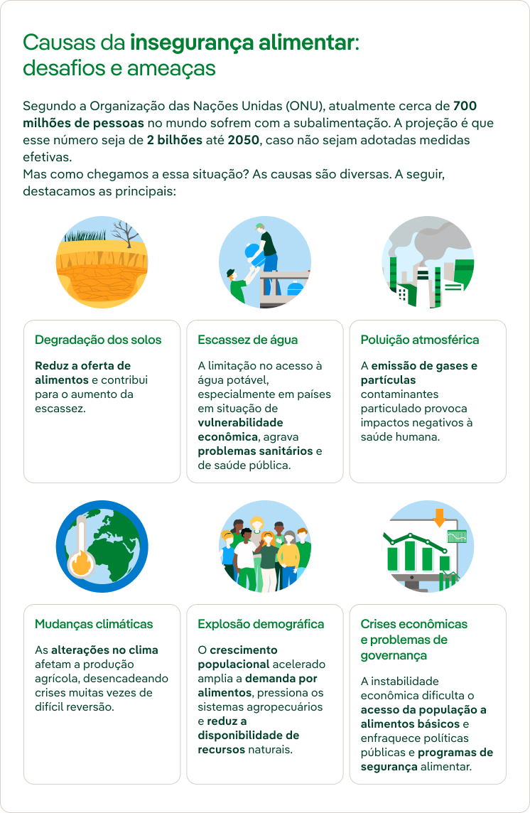 Causas da insegurança alimentar