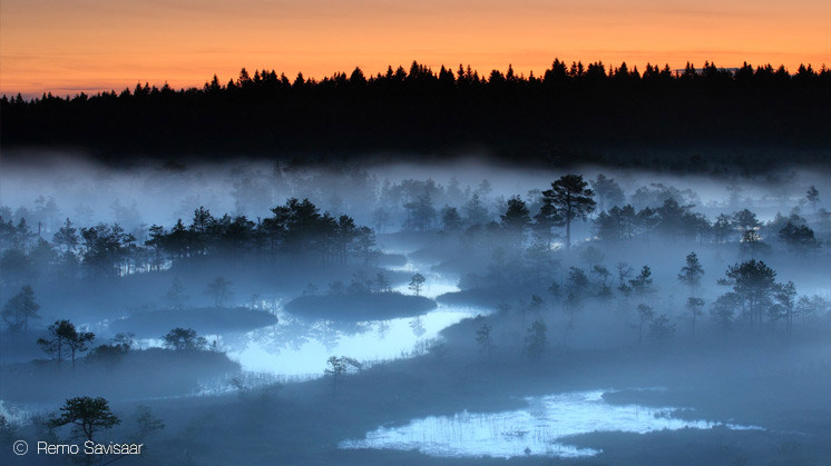 'Early morning bog', Remo Savisaar (Estonia), ganador categoría Paisajes, NPOTY 2017.