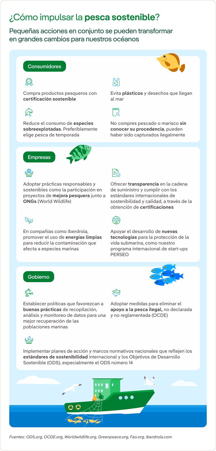 infografia pesca