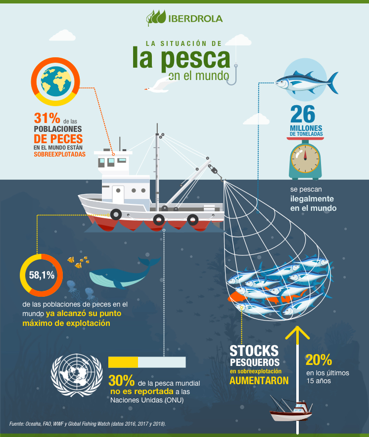 infografia pesca