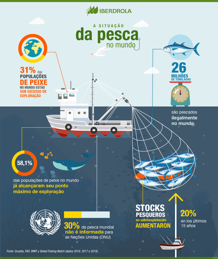 infografia pesca