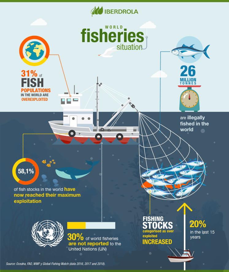 infografia pesca