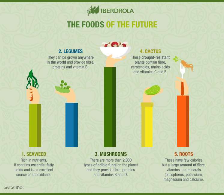 Alimentos futuro