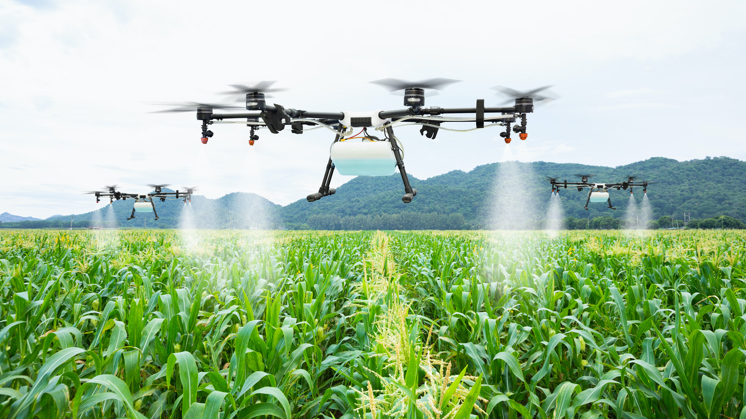 Smart Farming and Precision Agriculture - Iberdrola