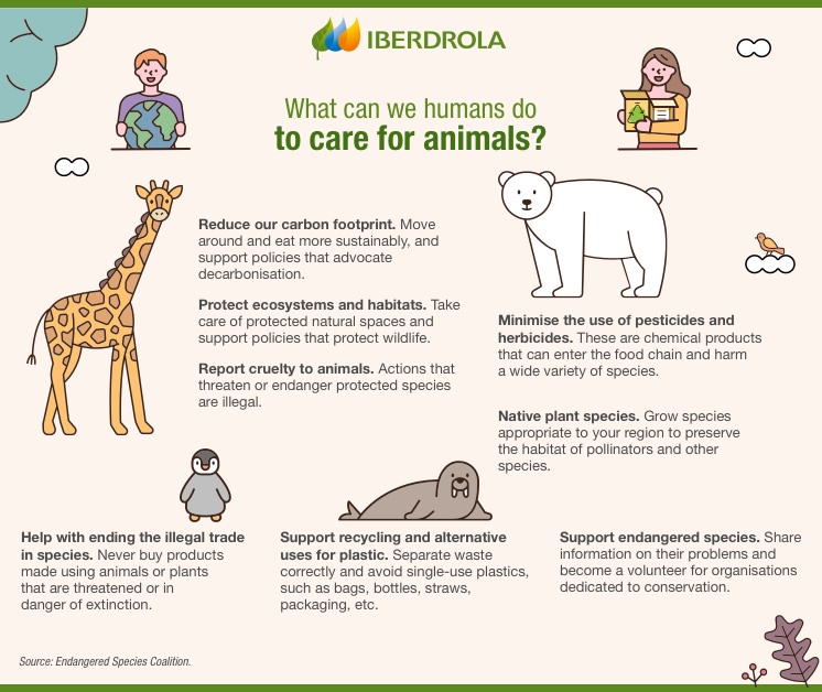 Extinct animals timeline