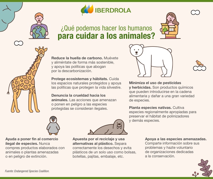 Cuidar animales