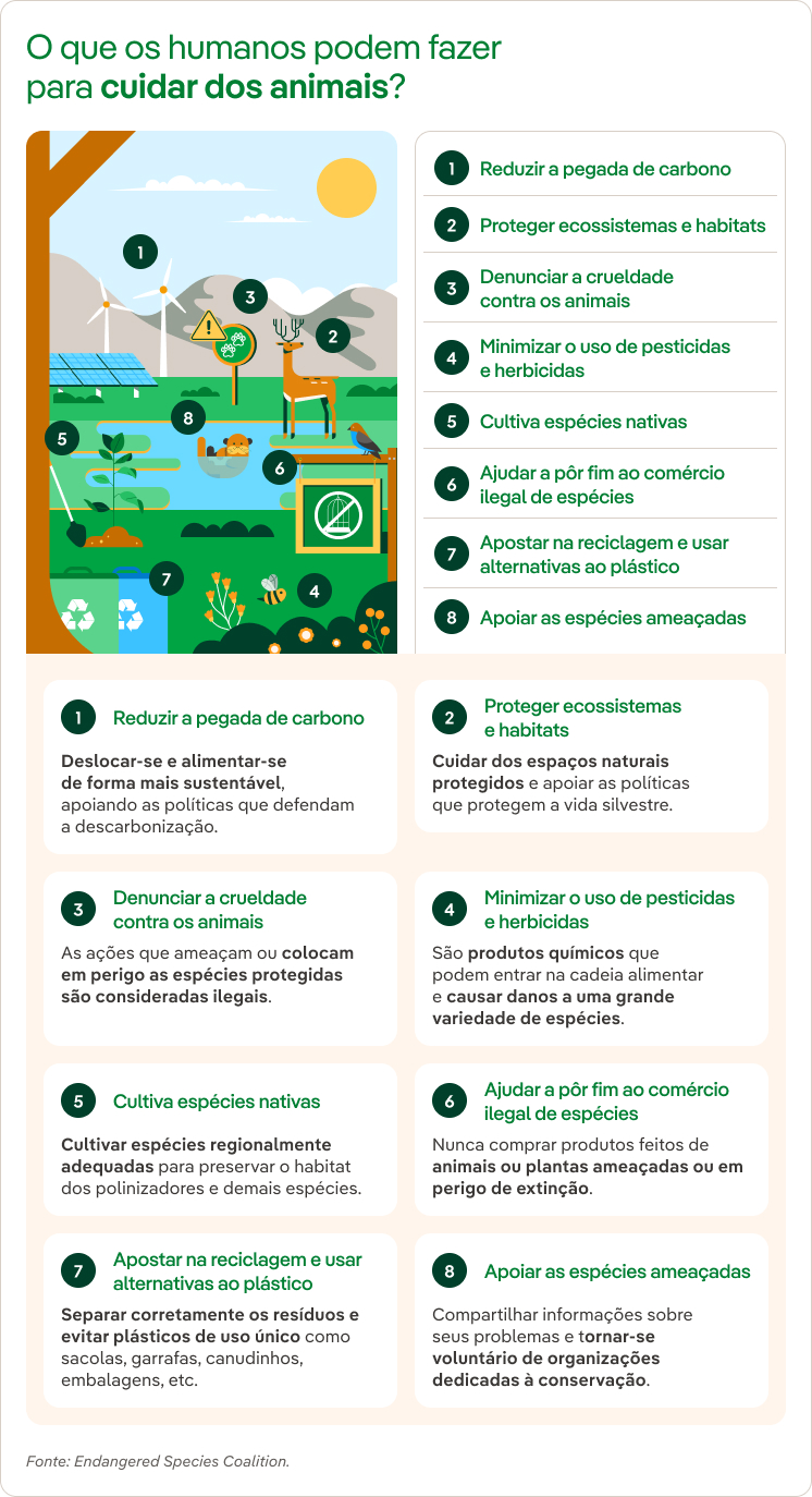 O que os humanos podem fazer para cuidar dos animais?