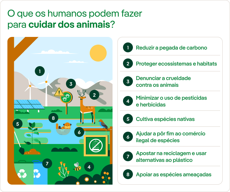 O que os humanos podem fazer para cuidar dos animais?