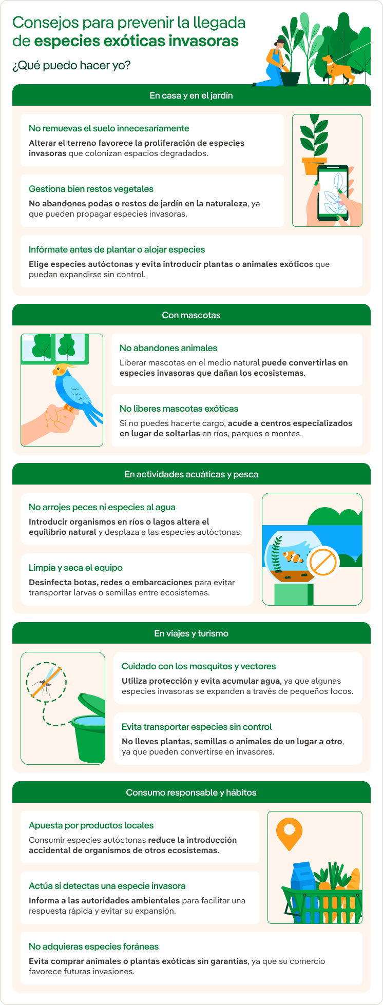 consejos